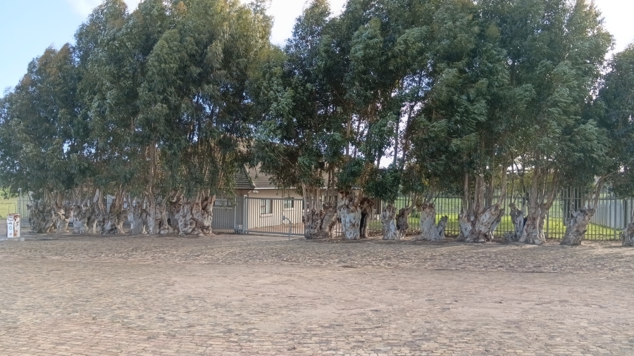 5 Bedroom Property for Sale in Stellenbosch Farms Western Cape